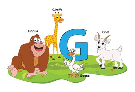 Where is the G.
